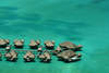 St. Regis Resort Bora Bora 